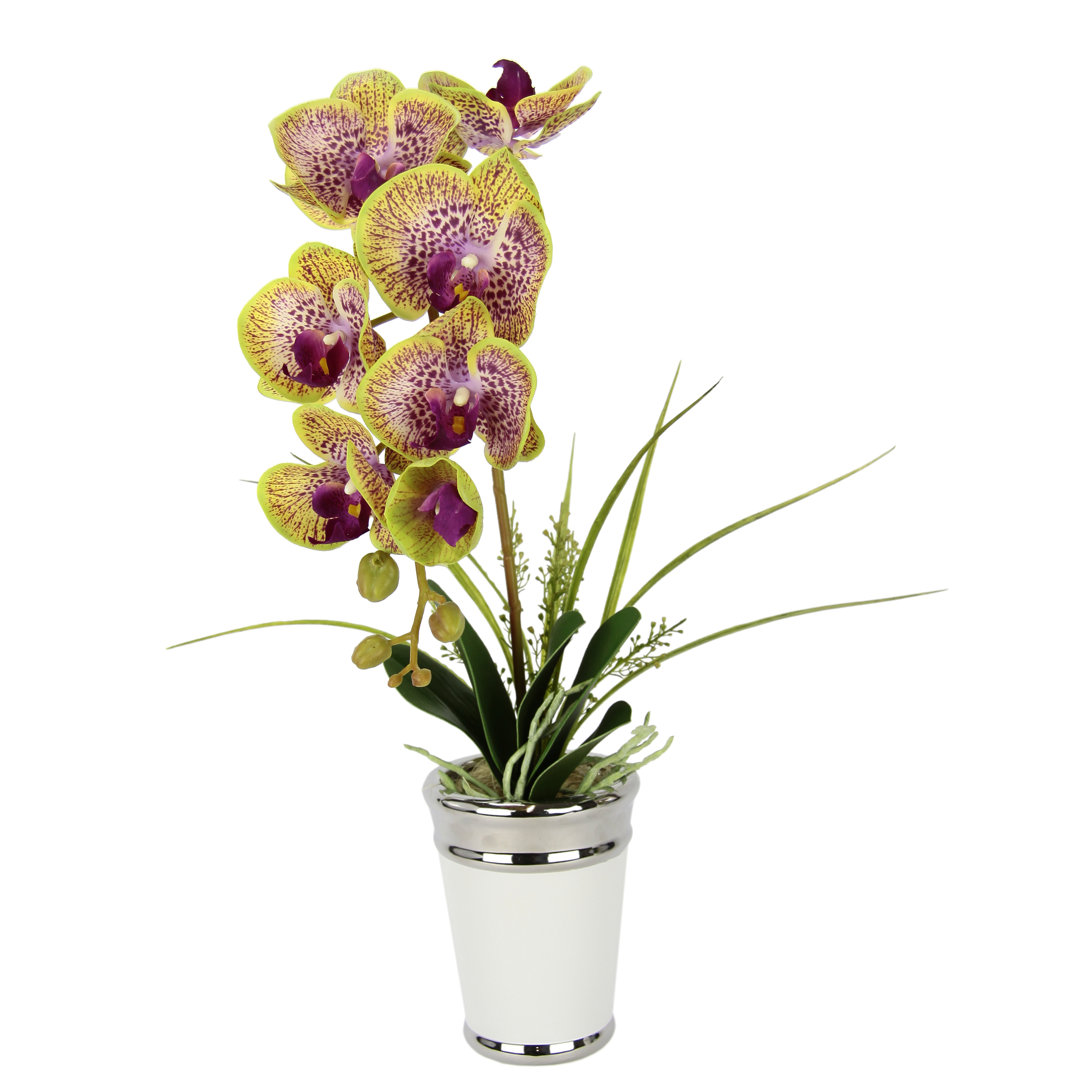 Kunstblume Orchidee mit Blätter und Luftwurzeln