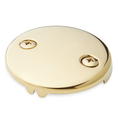 Overflow Cover Plate with Two Screws