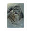 Neige leopard fortress, vertical-35539413-72447232-72447233