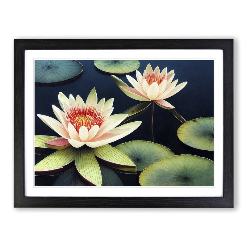 Compelling Water Lily Flowers - Framed Print, Black, 25cm H x 34cm W x 2cm D
