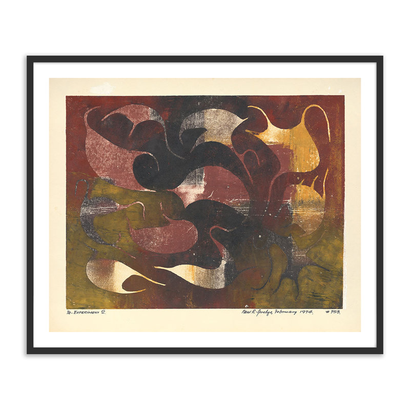 Experminet II Print by Pepi Sprohge, Black Single Picture Framed, 27" H x 32" W x 1.5" D