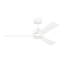 Rozzen Downrod Ceiling Fan-111282299-87900163-75885278