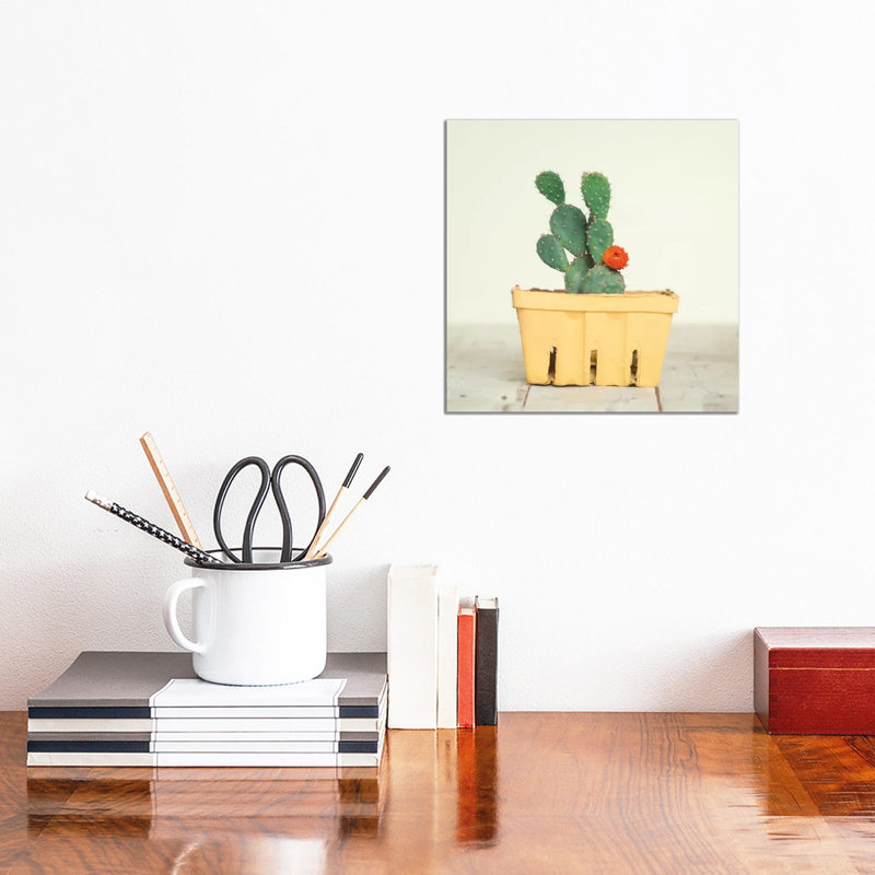 Cactus In Crate III by Mandy Lynne - Wrapped Canvas Print, 30.48 cm H x 30.48 cm W