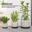 Pot Planter