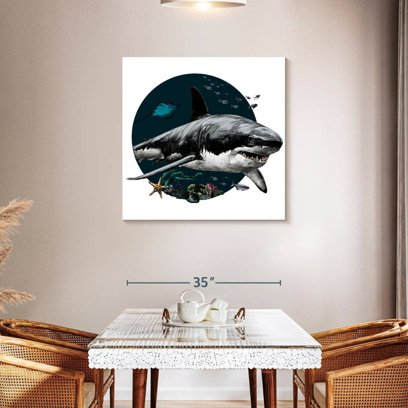 Brampt Gray Shark Illustration