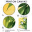 Cohe - impressions sur toile florales-1385370753-1385370762-1385370757