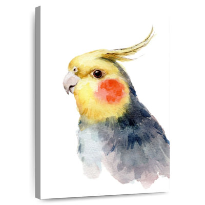 Brampt Cute Parakeet