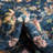 Oriental Indoor Rug-69121228