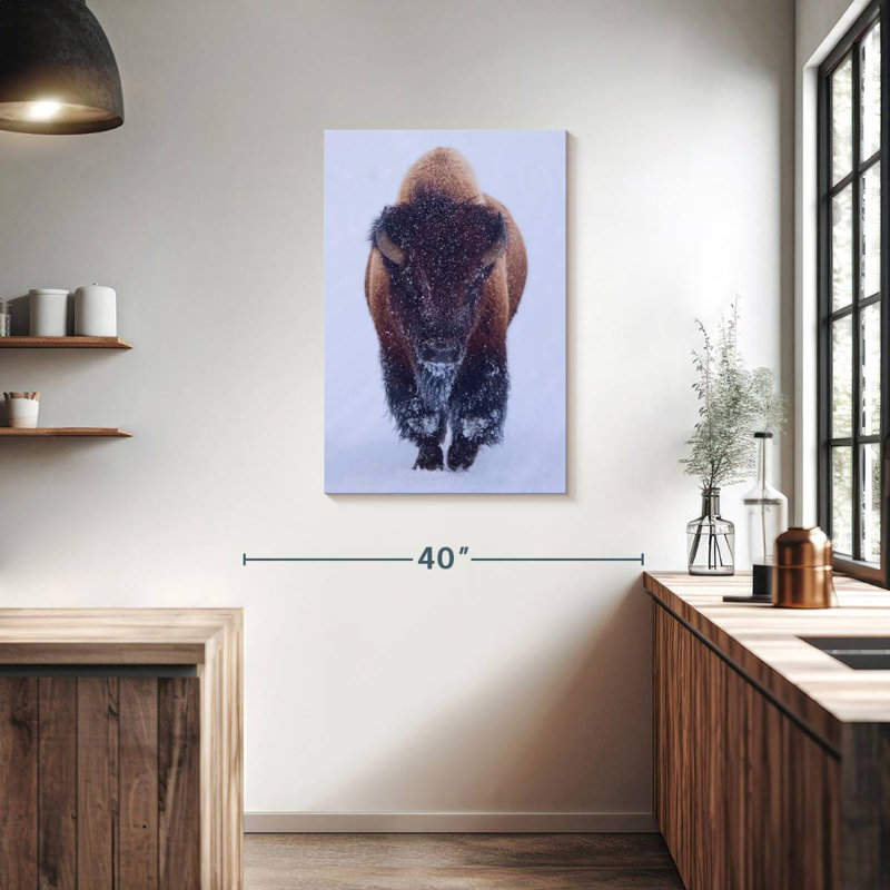 Brampt Bison In Snow, 36" H x 24" W