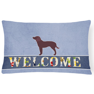  Coussin American Water Spaniel