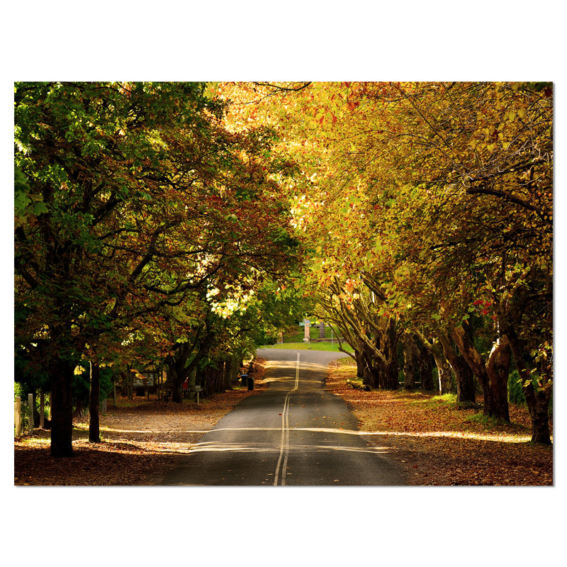 Road Through Green Trees Landscape Canvas Print