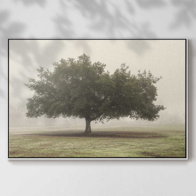 Arbres dans le brouillard II, Toile avec cadre blanc, H 27 po x l 41 po x P 2 po