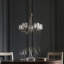 Ampelius 5 - Light Waggon Wheel Chandelier