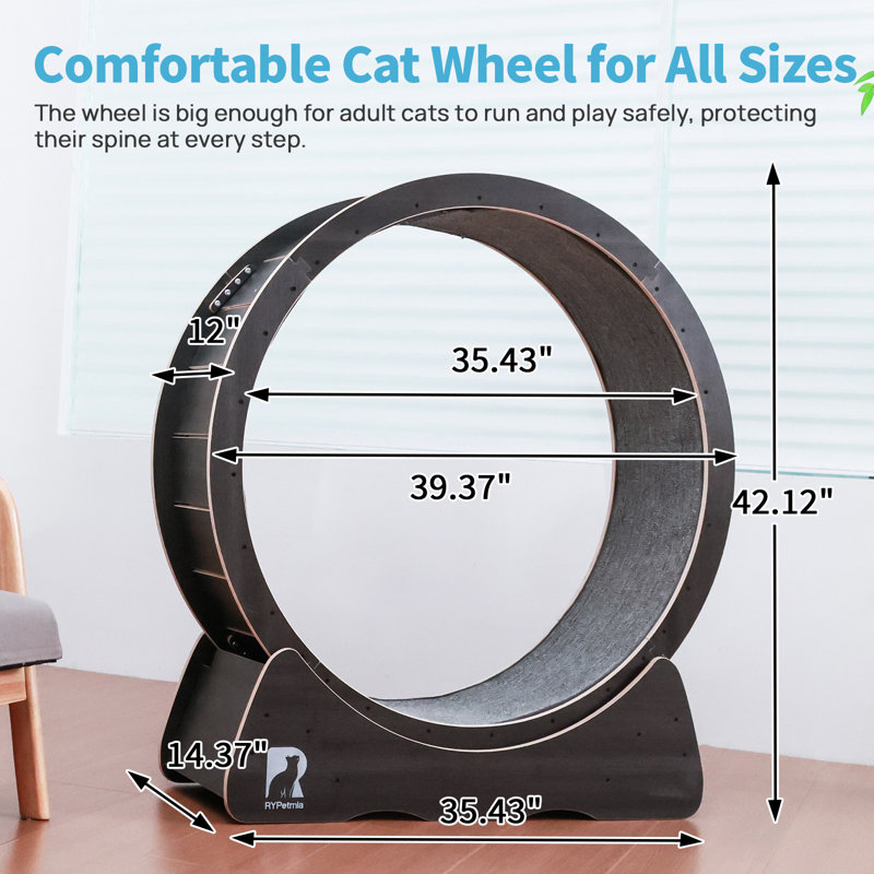 Roue de 39 po pour grand chat, Noir