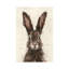 «European Hare I» par Ethan Harper - reproduction d'art-54024741-54024721-54024775