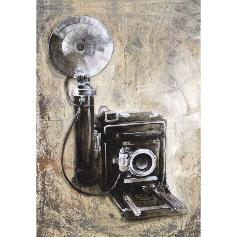 Camera Mate - Wrapped Canvas Painting, 46cm H x 30cm W