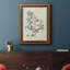 " Antique Black And White Botanical IV "-783715501