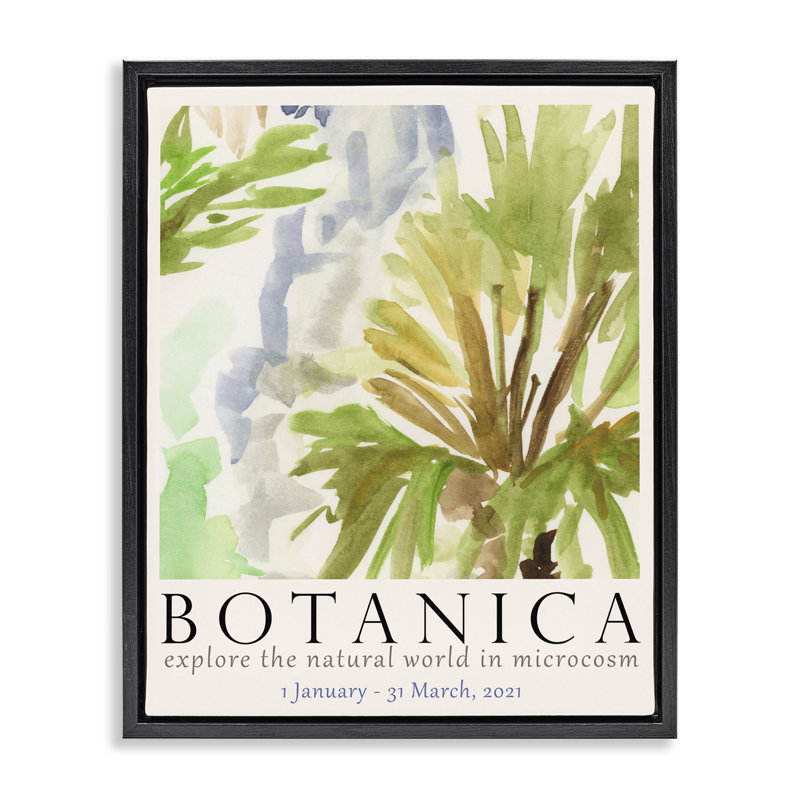 «Botanica Museum», affiche encadrée sur toile flottante par June Erica Vess, H 21 po x l 17 po, Cadre flottant noir de jais