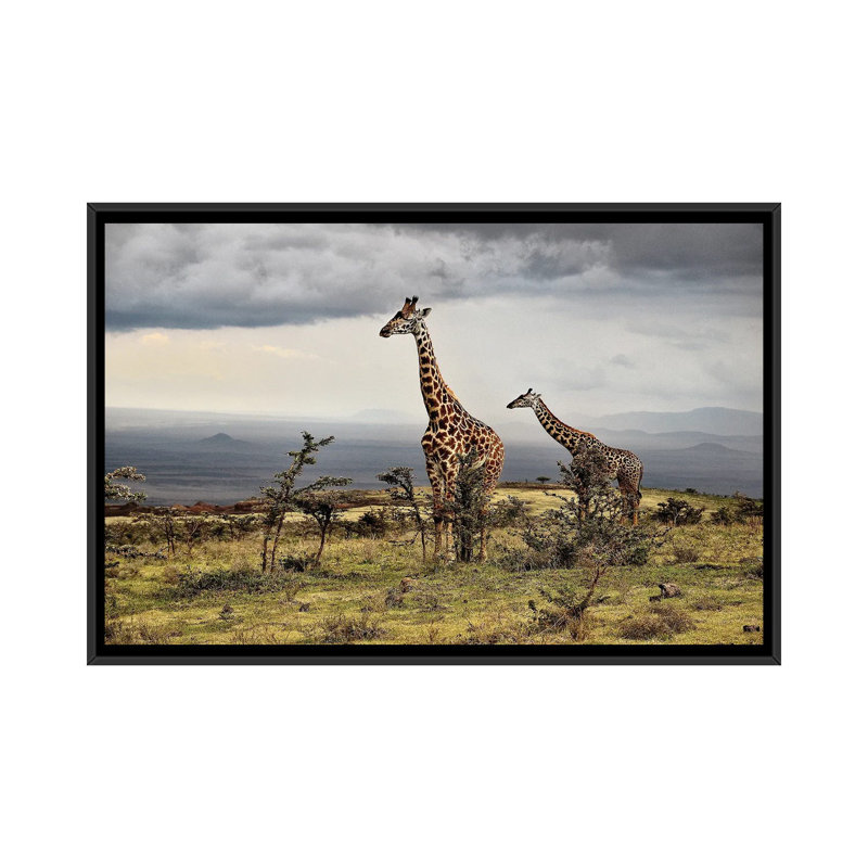 Giraffe by Giuseppe Damico - Floater Frame Print on Canvas