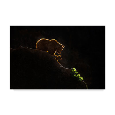 «Mom Bear with Cub», reproduction d'impression sur toile tendue