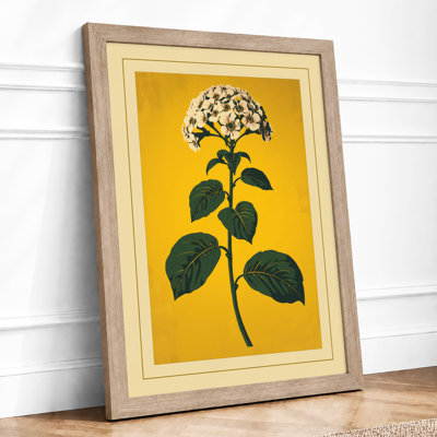 White Flower Study Botanical - Print