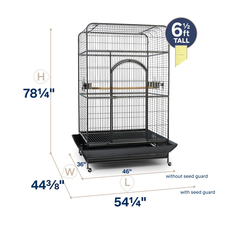 Briceno 78.25'' Steel Flat Top Floor Bird Cage with Wheels
