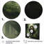 Lion brun et vert, monarque, décoration murale animal lion-68433055-68433047