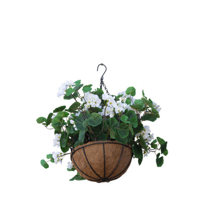 Geranium Hanging Basket
