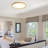 1-White LED dimmable ceiling light