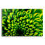 «Green Design 1» par PhotoINC Studio-1282689464