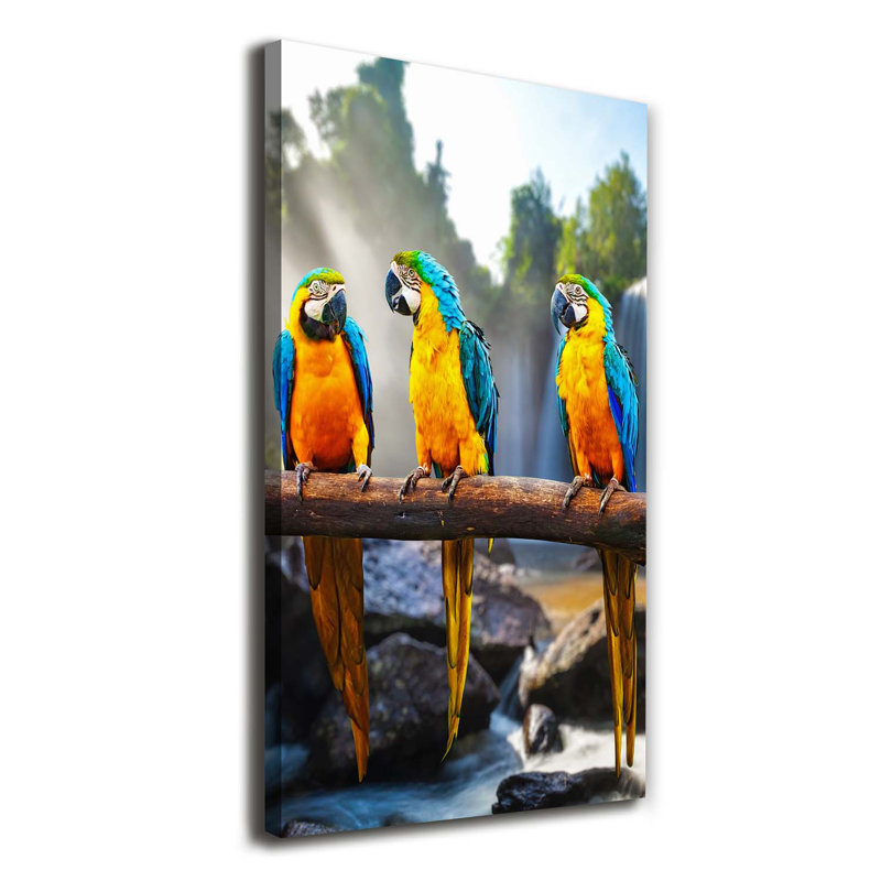 Macaw Parrots - Wrapped Canvas Print