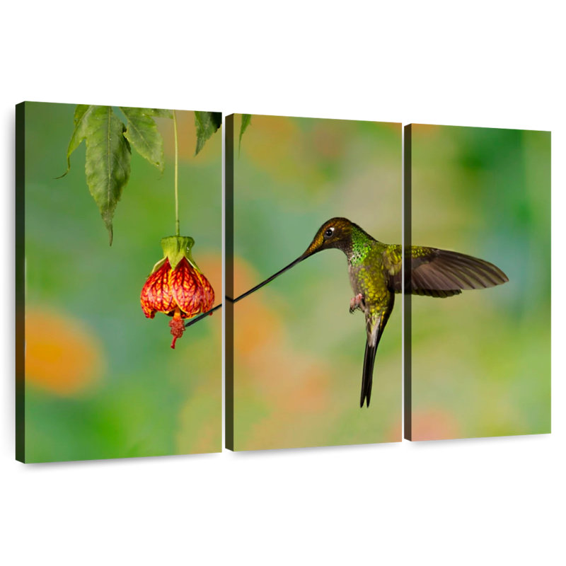 Colibri brun mangeant du nectar, H 42 po x l 65 po