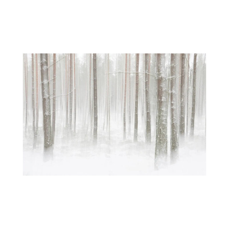 Winterforest In Sweden by Christian Lindsten - Wrapped Canvas Print, 30.48 cm H x 45.72 cm W