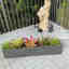 Customer photo 3 of 3