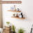 Floating Shelves For Wall, 24''W X 8'' D Rustic Solid Elm...