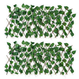 Expandable 18.5'' H x 79'' W Scindapsus Leaves Fencing (Set of 2)