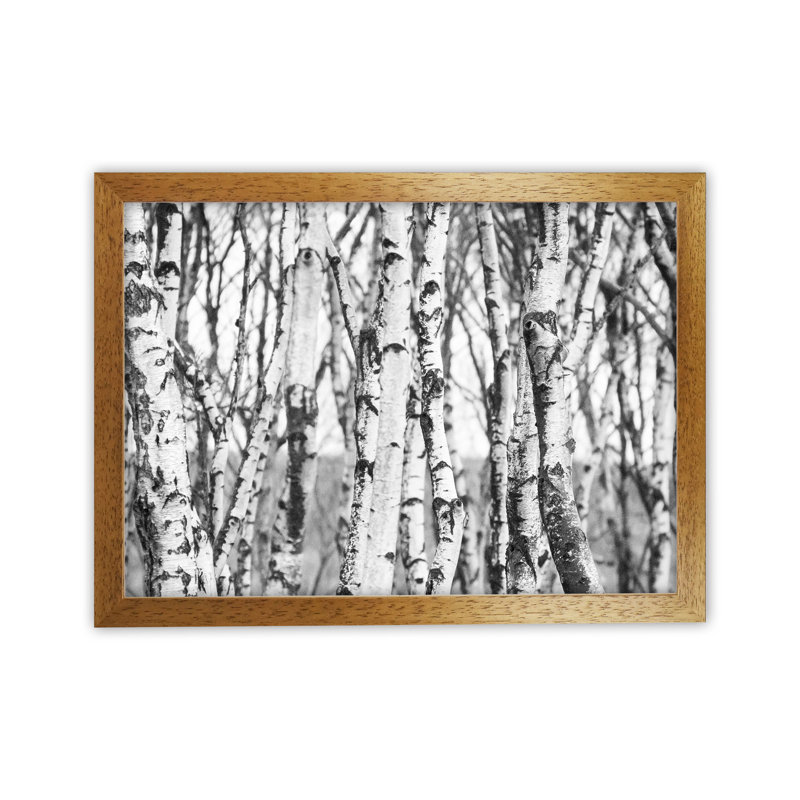 Off The Beaten Path by Victoria Frost - Print, 25cm H x 34cm W x 3cm D, Oak Framed