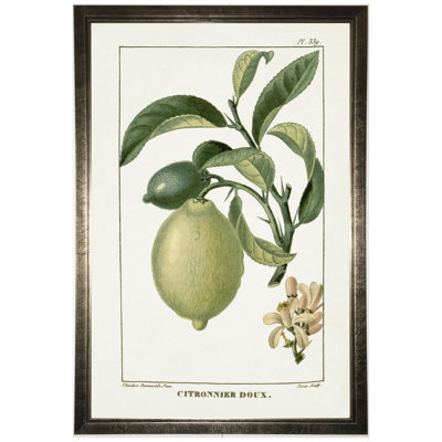 Citron vert dans un cadre argenté