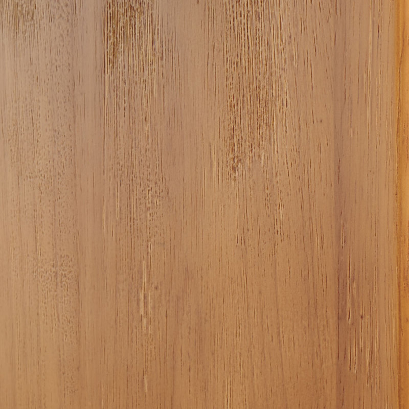 Banc Trudie, Naturel