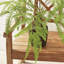 Georgia Faux Fern Plant-168745442
