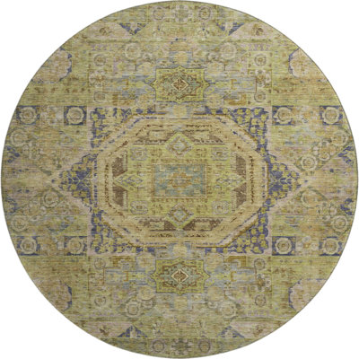 Premium Machine Washable Lubbers AMF1743 Global Rug