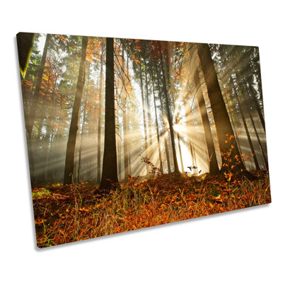 Forest Sunlight Sunset - Wrapped Canvas Print