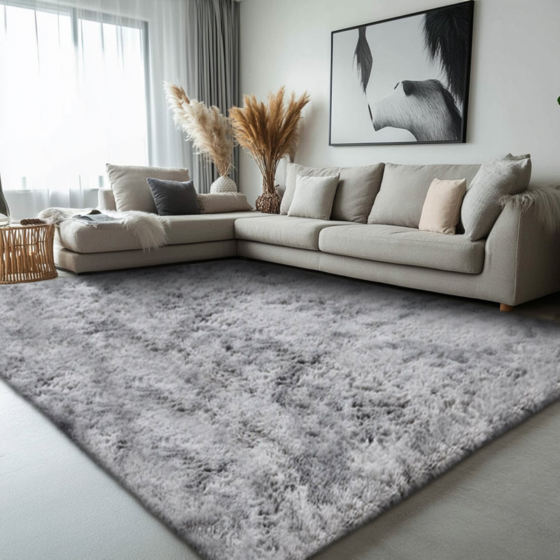 Area Rugs for Bedroom Living Room, Fluffy Fuzzy Shag Shaggy Soft Plush Carpet, Indoor Floor  Rug for  Decor Aesthetic