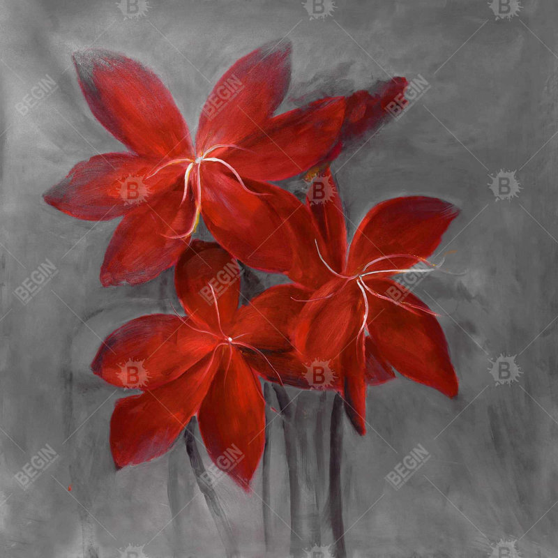 " Asiatic Lily "