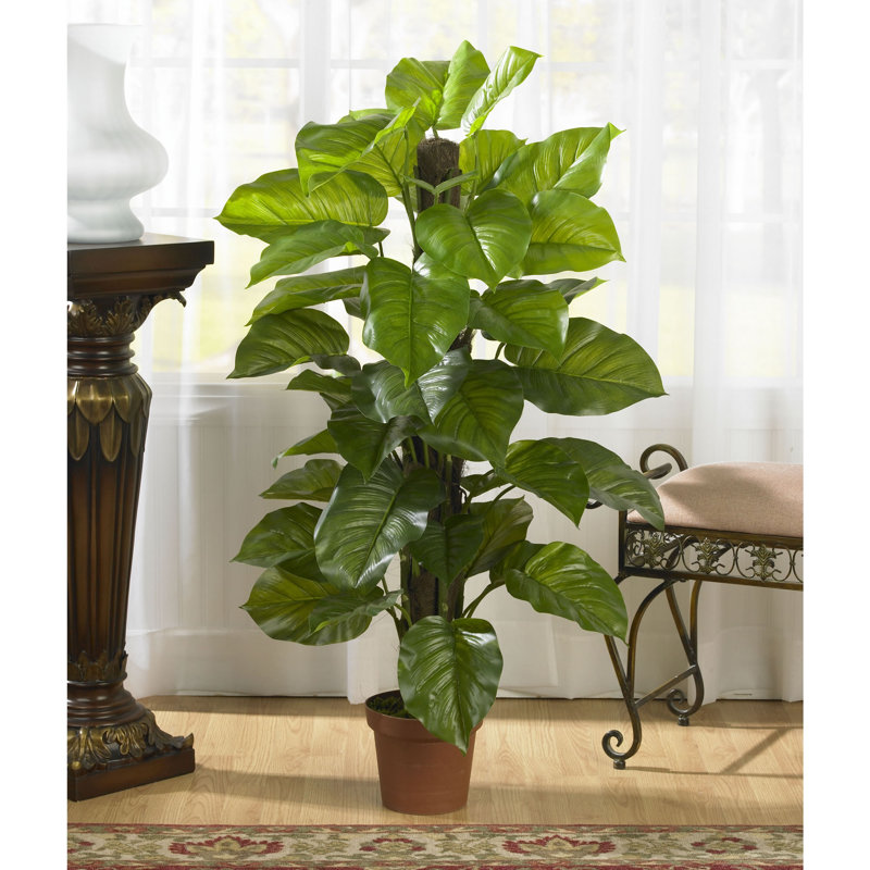Arbre à feuillage artificiel 1 pièce en pot, 52" H x 27" lx 27" D