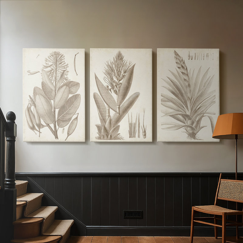 Sépia plantes exotiques I - Toile tendue avec châssis sur mesure - 3 pièces, H 27 po x l 54 po
