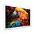 White Single Picture Framed