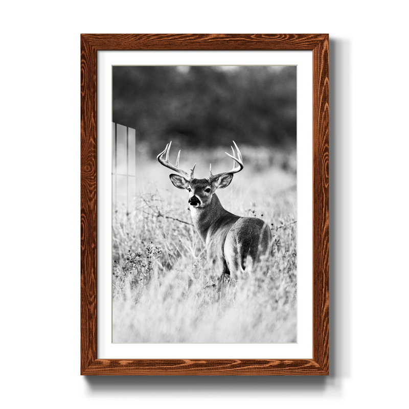 Grasslands - reproduction de photo, Papier avec cadre érable, H 20 po x l 17 po x P 1 po, Blanc
