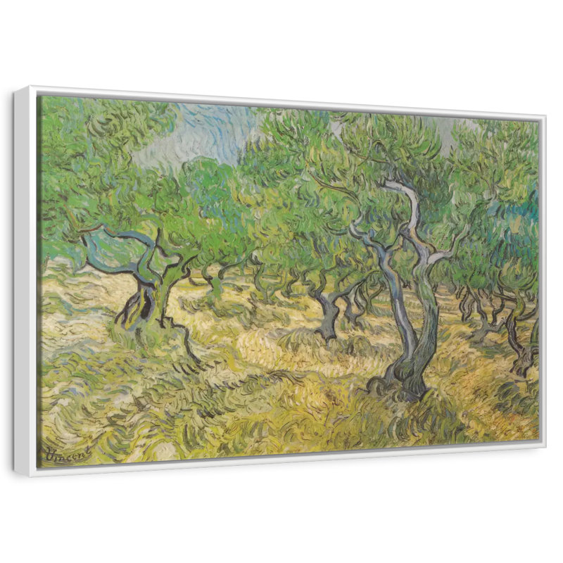 Olive Grove, Cadre flottant blanc, 25 po x 17 po