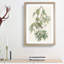 Autumnal Warbler by John Audubon - Single Picture Frame Painting-55456874-55456870